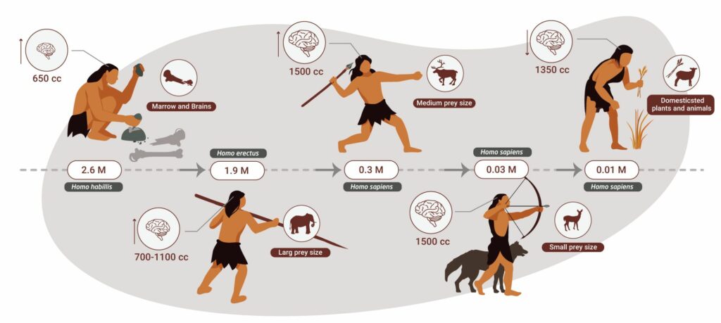 alimentation prehistorique