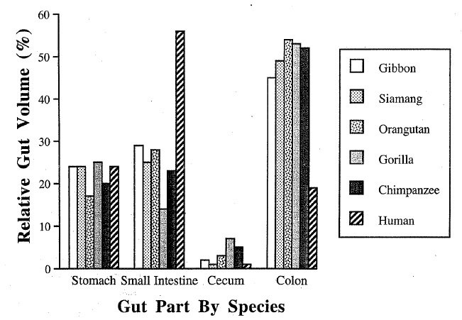 Gut part by Species | INSULEAN