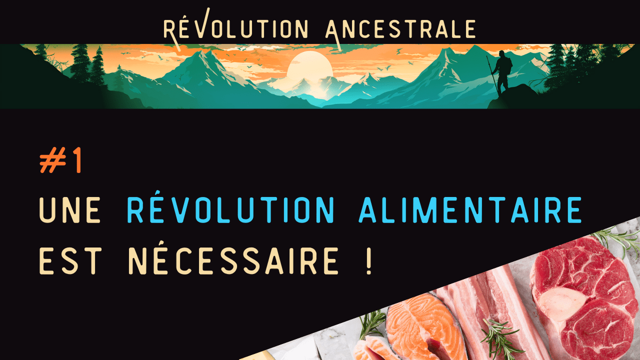 Lire la suite à propos de l’article Une révolution alimentaire est nécessaire ! (vidéo)