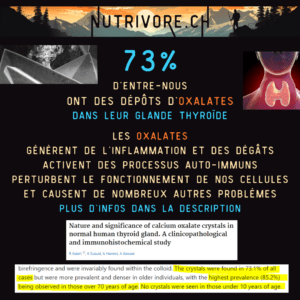 Lire la suite à propos de l’article Prévalence de l’intoxication aux oxalates